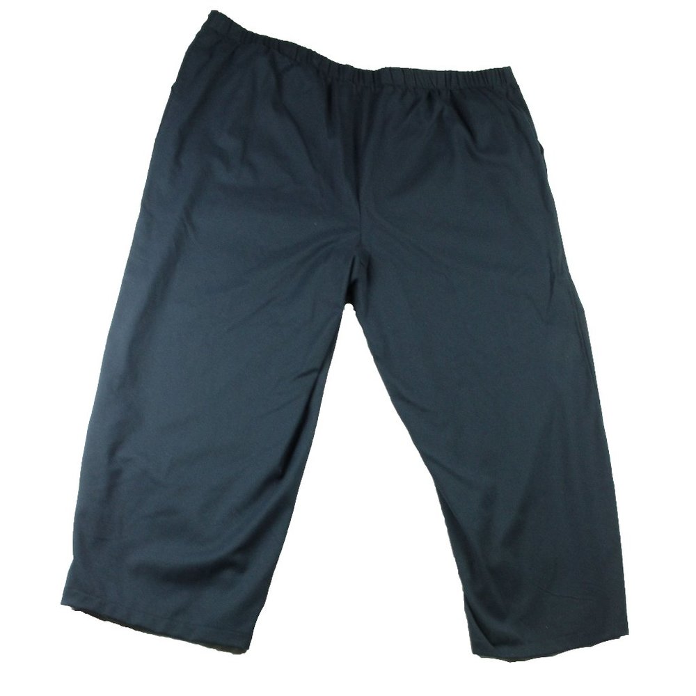 Ladies Angle Pants Size 4X AVA VIV